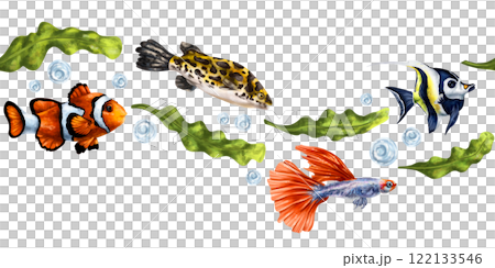 Tropical fish with green algae, angelfish, clownfish. Underwater ocean world, exotic travel, wildlife. Seamless border, isolated illustration, hand-drawn on white background. Exploring marine world 122133546