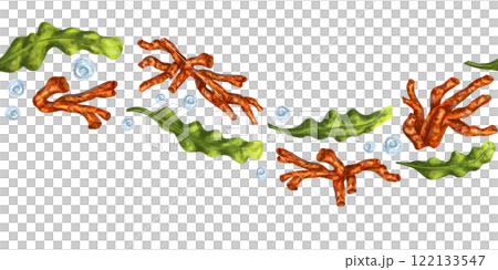 Tropical plant green algae, sea coral. Underwater ocean world, exotic travel, wildlife. Seamless border, isolated illustration, hand-drawn on white background. Exploring botanical marine world 122133547