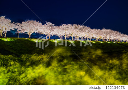 兵庫 おの桜づつみ回廊 ライトアップ 兵庫 おの桜づつみ回廊 ライトアップ 122134078