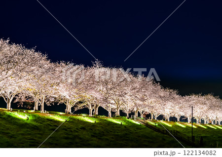 兵庫 おの桜づつみ回廊　ライトアップ 122134082