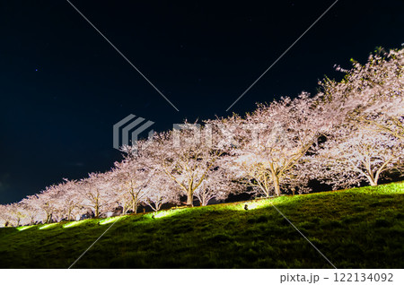 兵庫 おの桜づつみ回廊 ライトアップ 兵庫 おの桜づつみ回廊 ライトアップ 122134092