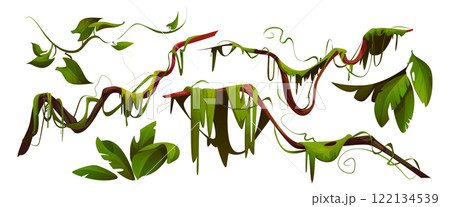Jungle liana set with twisted green vines 122134539