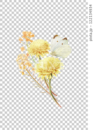 挿絵に使えるたんぽぽと菜の花とモンシロチョウをあわせた春のイラスト 122134934