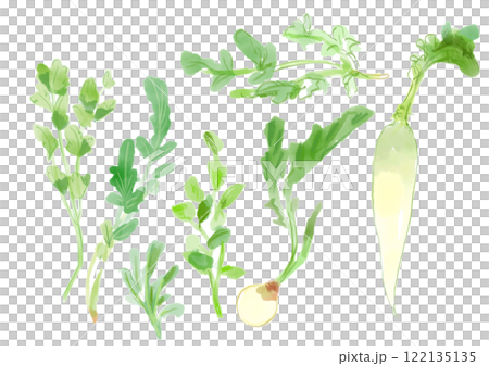 春天七種草藥的寫實水彩插圖 122135135