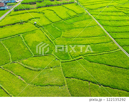 Aerial view rice field infront of Simbar Semeru volcano Aerial view rice field infront of Simbar Semeru volcano 122135292