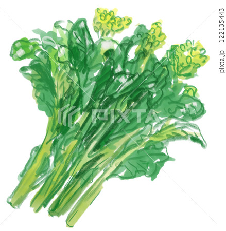 新鮮ななばなのリアルな水彩イラスト 122135443