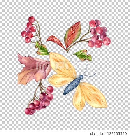 Butterfly and berries viburnum autumn watercolor composition isolated on white. Rowan red berry branches with fall leaves hand drawn. Fall illustration forest plants and insect for nature theme. 122135530