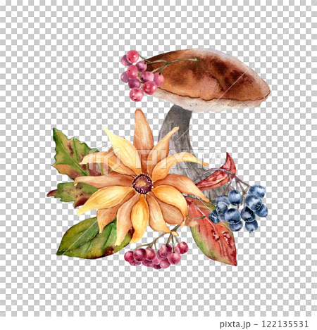 Aspen mushrooms with yellow flower and rowan berries in watercolor composition isolated. Daisy and black chokeberry painted in botanical sketch. Autumn illustration with wild forest plants hand drawn. Aspen mushrooms with yellow flower and rowan berries in watercolor composition isolated. Daisy and black chokeberry painted in botanical sketch. Autumn illustration with wild forest plants hand drawn. 122135531