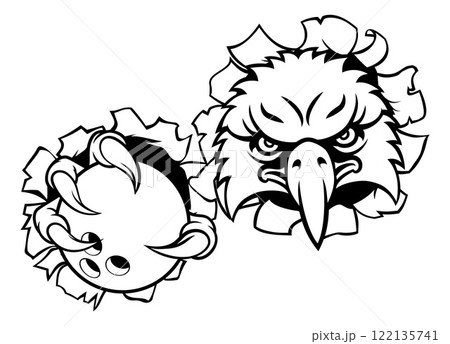 Eagle Hawk Bowling Ball Bald Eagles Mascot 122135741