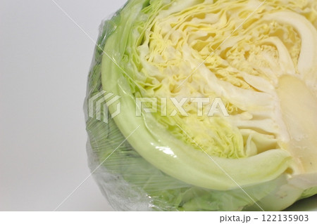 冬の定番野菜・キャベツ 冬の定番野菜・キャベツ 122135903