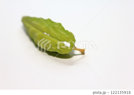 ガガイモの白い液体 ガガイモの白い液体 122135918