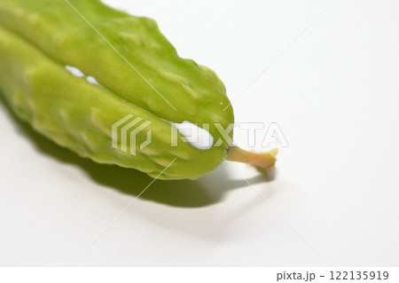 秋のガガイモ。白い液体 秋のガガイモ。白い液体 122135919