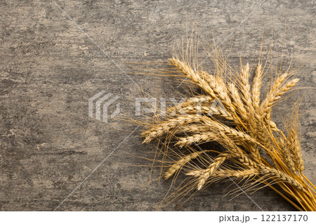 Sheaf of wheat ears close up and seeds on colored background. Natural cereal plant, harvest time concept. Top view, flat lay with copy space. world wheat crisis 122137170