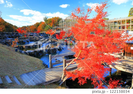 【京都府】けいはんな記念公園の水景棚と紅葉 【京都府】けいはんな記念公園の水景棚と紅葉 122138034