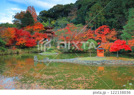 【京都府】晴天の浄瑠璃寺庭園の三重塔と紅葉 122138036