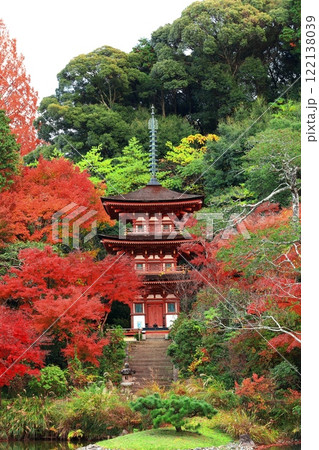 【京都府】晴天の浄瑠璃寺庭園の三重塔と紅葉 【京都府】晴天の浄瑠璃寺庭園の三重塔と紅葉 122138039