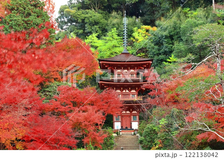 【京都府】晴天の浄瑠璃寺庭園の三重塔と紅葉 122138042