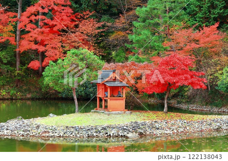 【京都府】晴天の浄瑠璃寺庭園の紅葉 【京都府】晴天の浄瑠璃寺庭園の紅葉 122138043