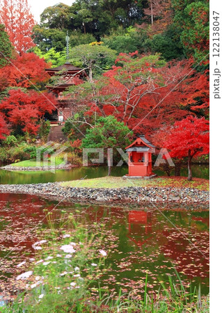 【京都府】晴天の浄瑠璃寺庭園の三重塔と紅葉 122138047