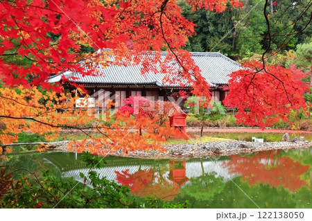 【京都府】晴天の浄瑠璃寺庭園の本堂と紅葉 122138050