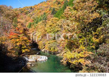国道257号線沿い・馬瀬川の紅葉《岐阜県清見町》 122138083