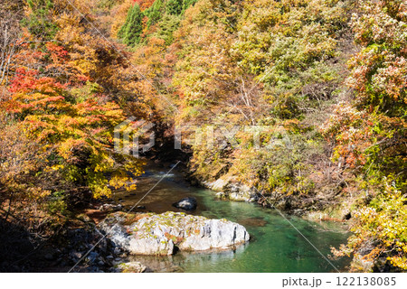 国道257号線沿い・馬瀬川の紅葉《岐阜県清見町》 国道257号線沿い・馬瀬川の紅葉《岐阜県清見町》 122138085