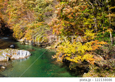 国道257号線沿い・馬瀬川の紅葉《岐阜県清見町》 国道257号線沿い・馬瀬川の紅葉《岐阜県清見町》 122138086