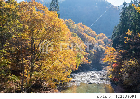 国道257号線沿い・馬瀬川の紅葉《岐阜県清見町》 122138091