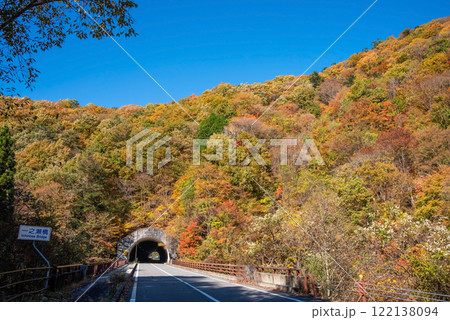 国道257号線・庄島トンネル南口周辺の紅葉《岐阜県清見町》 国道257号線・庄島トンネル南口周辺の紅葉《岐阜県清見町》 122138094