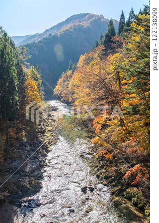 国道257号線沿い・馬瀬川の紅葉《岐阜県清見町》 国道257号線沿い・馬瀬川の紅葉《岐阜県清見町》 122138099