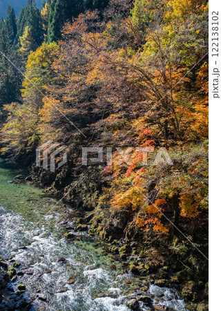 国道257号線沿い・馬瀬川の紅葉《岐阜県清見町》 122138102