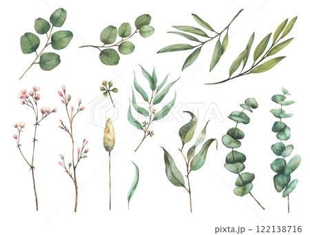 Watercolor eucalyptus greenery and flowers set. Hand drawn realistic baby, seeded and silver dollar eucalyptus branch and pink buds for wedding, greeting card isolated illustration from background  122138716