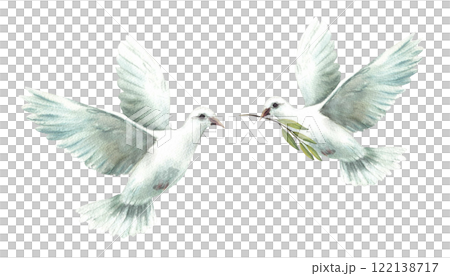 Two dove. Flying pigeon with olive green branch White birds, symbol of peace, religious sign. Watercolor hand drawn illustration for Christening, Easter, Baptism card. Clipart Isolated from background Two dove. Flying pigeon with olive green branch White birds, symbol of peace, religious sign. Watercolor hand drawn illustration for Christening, Easter, Baptism card. Clipart Isolated from background 122138717