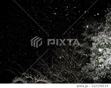 何とも神秘的な雪降りの夜 122139114