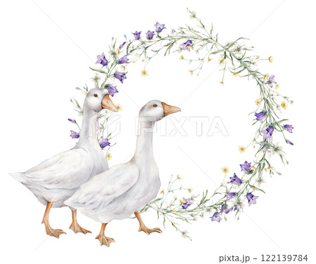 Wreath of yellow buttercup and little flower and violet bluebell. Domestic watercolor gooses. Watercolor hand painting illustration on isolate. Circlet of meadow flowers. Botanical summer wildflowers. Wreath of yellow buttercup and little flower and violet bluebell. Domestic watercolor gooses. Watercolor hand painting illustration on isolate. Circlet of meadow flowers. Botanical summer wildflowers. 122139784