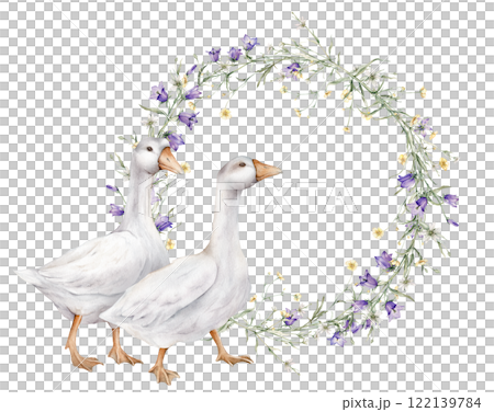 Wreath of yellow buttercup and little flower and violet bluebell. Domestic watercolor gooses. Watercolor hand painting illustration on isolate. Circlet of meadow flowers. Botanical summer wildflowers. Wreath of yellow buttercup and little flower and violet bluebell. Domestic watercolor gooses. Watercolor hand painting illustration on isolate. Circlet of meadow flowers. Botanical summer wildflowers. 122139784