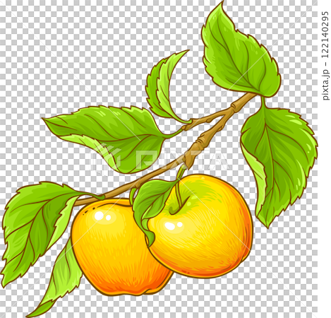 apple branch vector isolated 122140295