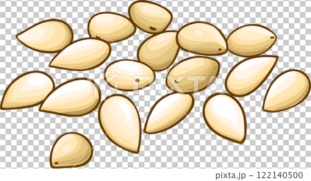 Sesame Seeds Colored Detailed Illustration. 122140500