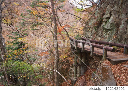 秋の日光市龍王峡 紫龍峡の木道 秋の日光市龍王峡 紫龍峡の木道 122142401