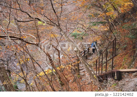 秋の日光市龍王峡 紫龍峡の木道 秋の日光市龍王峡 紫龍峡の木道 122142402