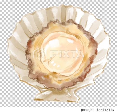 新鮮美味扇貝的逼真水彩插圖 122142413