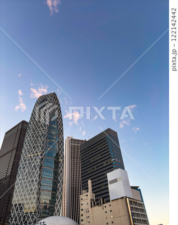 新宿駅西口のビル群 122142442
