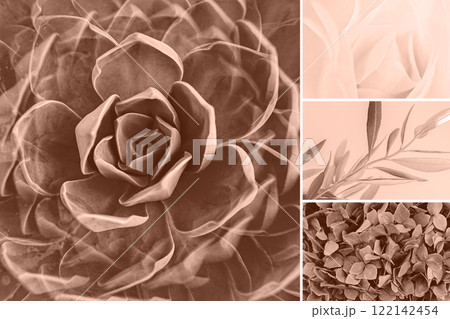 Collage featuring close-up of succulent plant, delicate leaves, and floral textures in warm mocha mousse tones, offering natural, elegant style Collage featuring close-up of succulent plant, delicate leaves, and floral textures in warm mocha mousse tones, offering natural, elegant style 122142454