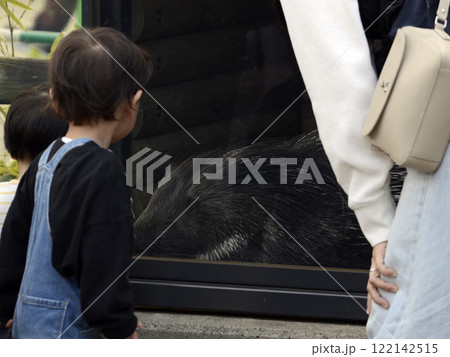 動物園の風景 122142515