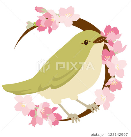 ウグイスと美しい桜のベクターイラスト 122142997