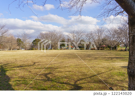【千葉県千葉市】誉田さくら公園 【千葉県千葉市】誉田さくら公園 122143020