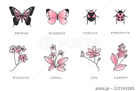 春の花と昆虫の線画セット カラー 122143265