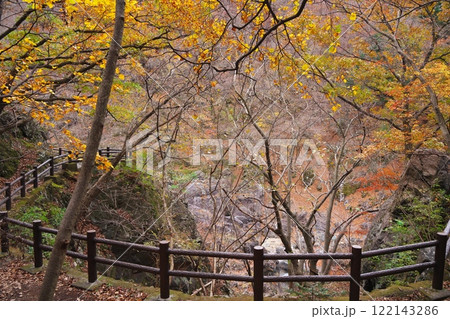 秋の日光市龍王峡 紫龍峡の白岩付近の道 秋の日光市龍王峡 紫龍峡の白岩付近の道 122143286