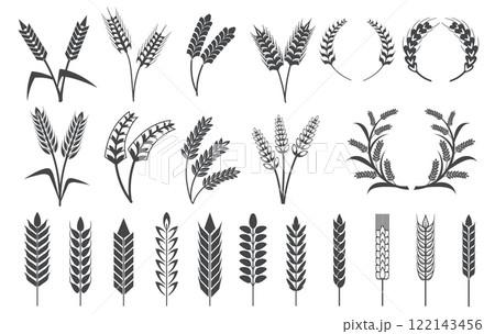 Wheat ears silhouettes. Barley ears, oat grains rice spike cereal plant spikelet black logo icons bread bakery or beer products emblems farm harvest symbol neat vector illustration 122143456