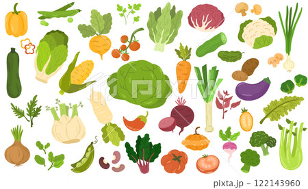 2090_vegetables_bigset 122143960